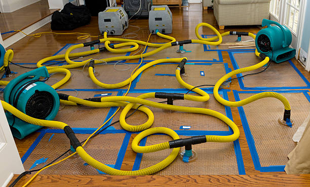 Professional Burst Pipe Water Damage technician working in Bethel, MN